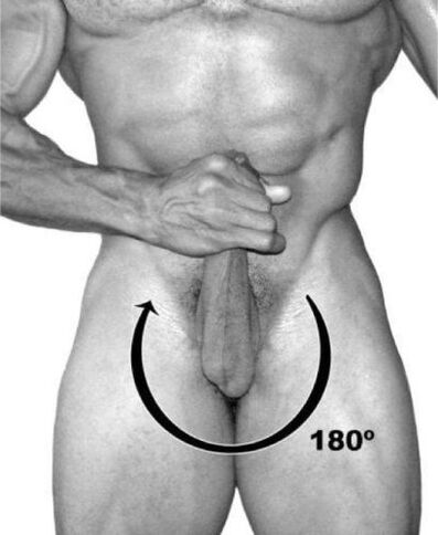 Penis rotation to increase it